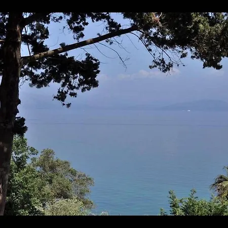 Corfu Dream Holidays 别墅 帕拉马